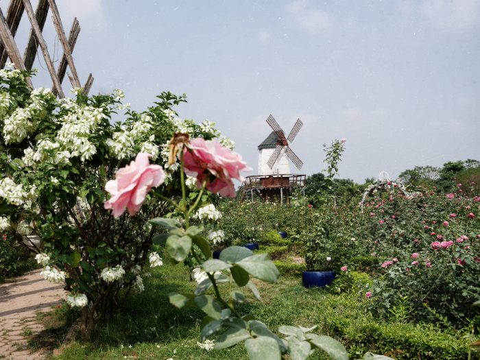 Windmill, Red river garden, hanoi